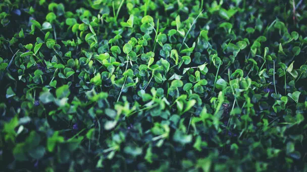 Фон Пятница